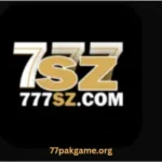 777 SZ Game