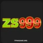 ZS999 Game