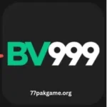 BV 999 Game