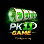 PK11 Game