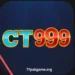 CT999 Game