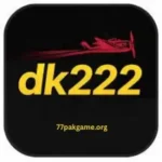 DK222 Game