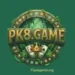PK8 Game