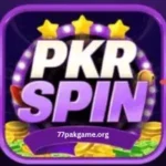 Pkr Spin Game