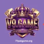 V9 Game