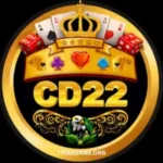 CD222 Game