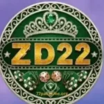 ZD22 Game