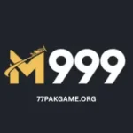M 999 Game