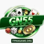 GN55 Game