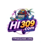 HI309 Game