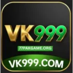 VK 999 Game