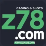 Z78 Game