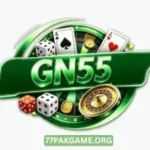 GN555 Game