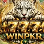 WinPkr777 Game