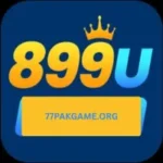 8999U Game